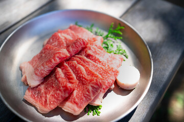 屋外の木漏れ日の下で食べる焼肉