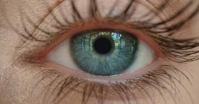 close up eye opening macro iris optical sense