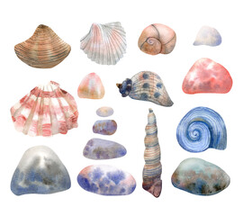 Watercolor set with seashells and stones on white background. Hand painted illustration. Red, brown and blue colors.