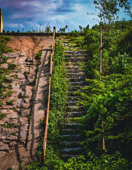 Vertical shot of old stairs with rusty metal handrail covered with greenery