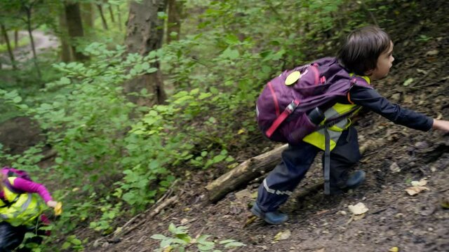 group children climb the mountains climbing the hill. little kids walking in forest. hike a wild kindergarten travel in wood. Hiking small preschool trekking outdoor Travel vacation school Summer Camp