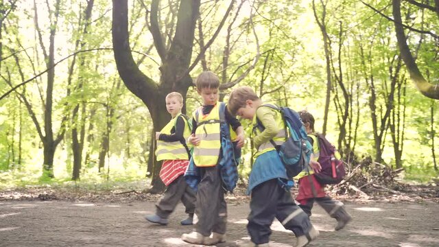 group of little kids walking along alley park kindergarten hike. Children walk in a summer forest camp. Preschool with backpacks in outfit adventure trip woodland. Wood school outdoor. Travel vacation