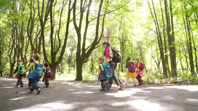 group of little kids walking along alley park kindergarten hike. Children walk in a summer forest camp. Preschool with backpacks in outfit adventure trip woodland. Wood school outdoor. Travel vacation