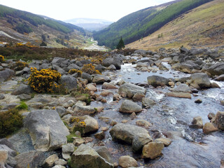 Ireland Rivers. 
Blue trickles like the arteries of life on the green island of Ireland.
