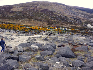 Ireland Rivers. 
Blue trickles like the arteries of life on the green island of Ireland.