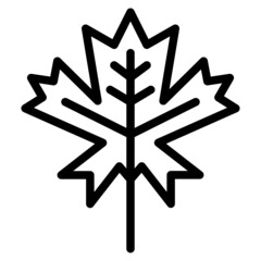 maple leaf line icon