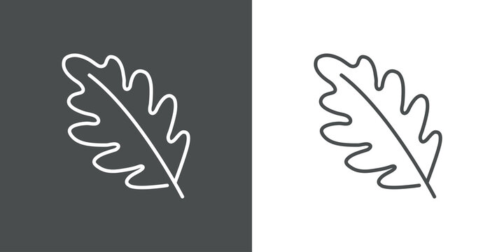 Icono silueta de hoja de roble con lineas en fondo gris y fondo blanco