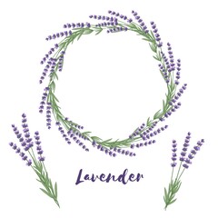 Lavender flowers hand drawn wreath vector illustration isolated on white background