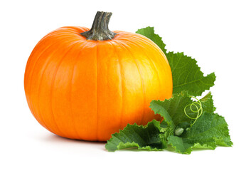 Pumpkin With Green Leaves Isolated On White