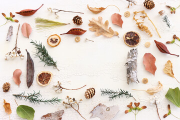 Top view image of autumn forest natural composition over wooden white background .Flat lay