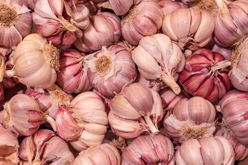 Conjunto de ajos morados a granel