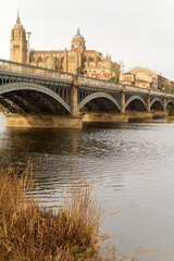 Fototapeta premium Catedral o Cathedral en la ciudad de Salamanca, comunidad autonoma de Castilla y Leon, pais de España o Spain