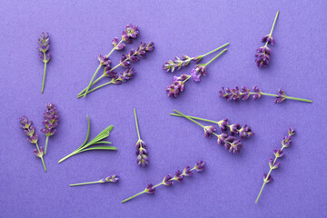 Lavender Flowers On Violet Background Flat Lay