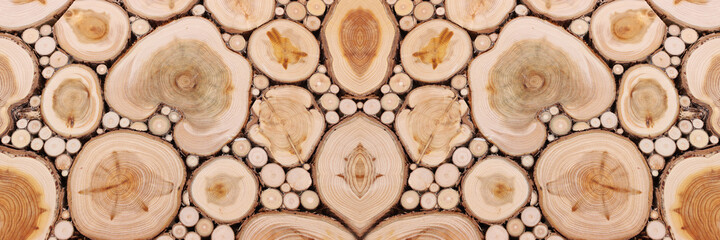 wooden background with texture of many tree trunks