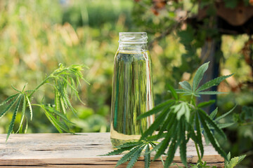 hemp oil in a glass jar with hemp leaf, hemp extracts, health