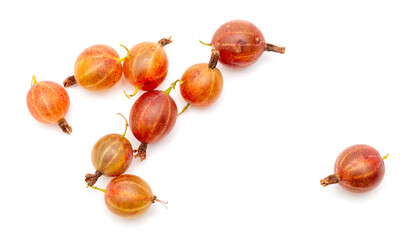 Gooseberry isolated on a white background. Close-up © schankz