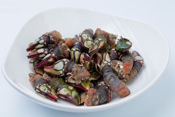 Percebes