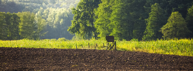 Letnie Pola Uprawne z Amboną  © Wojciech Lisiński