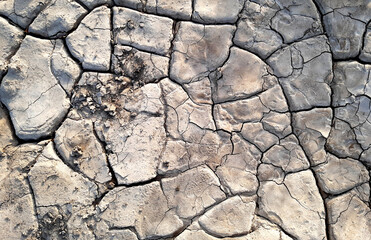 Dry Cracked Ground Texture