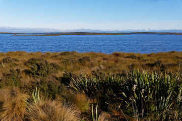 Waituna Lagoon, Awarua Wetland, Southland, New Zealand