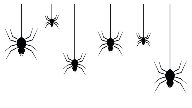 Halloween decoration. Black spiders hang on cobwebs. Vector illustration.