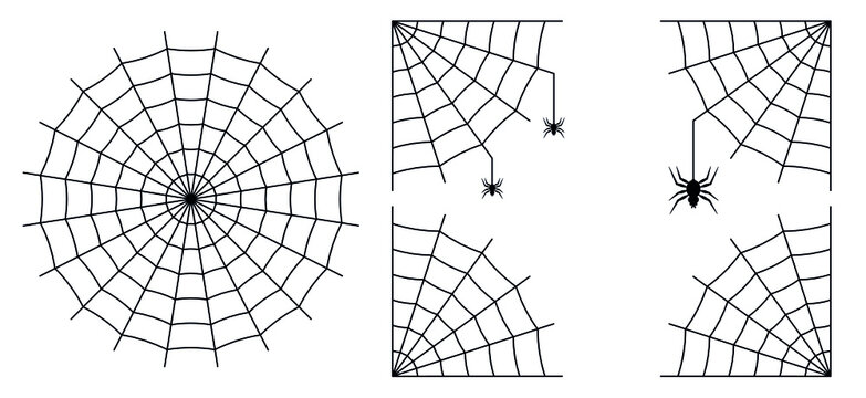 Halloween decoration. Black spiders hang on cobwebs. Round spider web. The cobweb is angular at all four corners. Black color. Vector illustration.