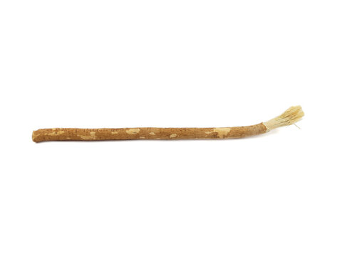 slamic Miswak Root Stick Organic Toothbrush