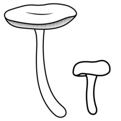 Mushroom line. Beautiful autumn forest big cartoon mushroom. Vector illustration for magazines, prints and stickers on canned food.