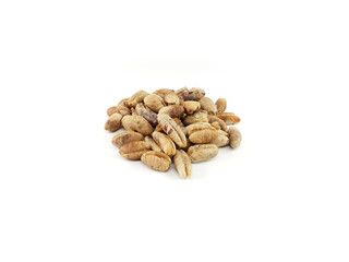 Dates Seeds For Date Tree Plantations