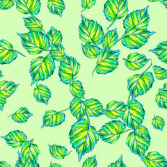Fototapeta premium Seamless texture with a repeating pattern.Foliage. Autumn leaves.Spring foliage. Pencil graphics. Naturalistic pencil drawing.Easter decoration.For a holiday.Ramadan.Park, forest.Birch tree.Ecology