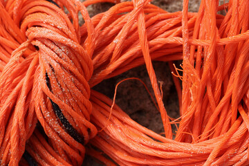 A pile of orange rope washed ashore at the beach
