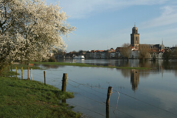 Fototapeta premium A view on the city of Deventer, the Netherlands, in springtime with reflection in a flooded meadow