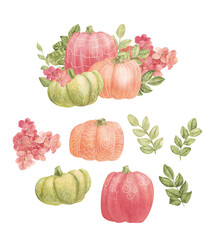 Set of watercolor illustrations of pumpkins and flowers. Suitable for invitations, cards, posters