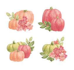 Set of watercolor illustrations of pumpkins and flowers. Suitable for invitations, cards, posters