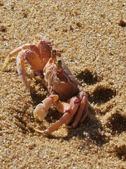 South Africa - wild coast.