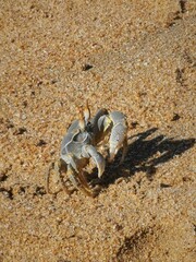 South Africa - wild coast.