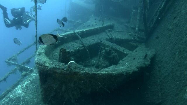 Lifeboat on the shipwreck Swedish ferry MS Zenobia, a flock of Blacktail Bream fish swims around. Wreck diving. Mediterranean sea, Cyprus