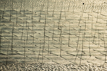 Seaweed farm in Xiapu county, China's Fujian province 