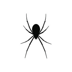 Spider vector icon. halloween illustration sign. insect symbol. spiderweb logo.
