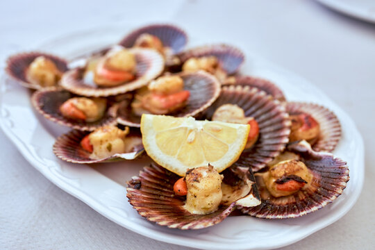 Closeup of scallops cooked on a white plate