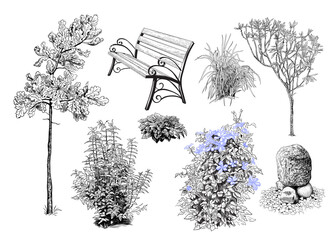 Vector set with elements of landscape.Young oak,bushes,daphne,park bench,clematis,stones,grass. Isolated objects on white.Sketch style.