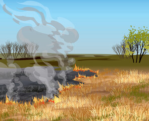Fire in the field. Dry grass field in fire vector illustration. - obrazy, fototapety, plakaty