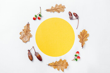 Autumn minimal composition. Wreath of acorns, golden oak leaves and red berries on white background. Yellow circle form frame mockup for text. Autumn design element. Flat lay, top view, copy space.