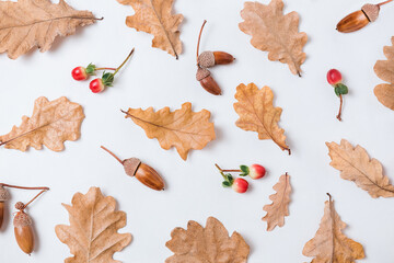 Autumn pattern composition. Acorns, golden oak leaves and red berries on white background. Autumn pattern design element. Flat lay, top view, copy space.