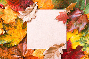 Naklejka na ściany i meble Craft paper blank frame and autumn leaves background. Autumn mockup. Autumn composition, fall concept. Flat lay, top view and copy space