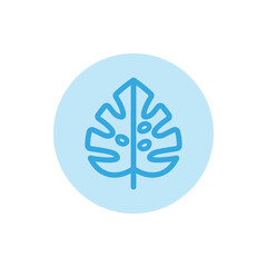 Monstera leaf icon vector with blue circle