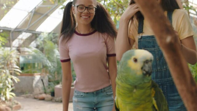 funny teenage girls afraid to touch parrot nervous students learning about birds enjoying excursion to wildlife sanctuary 4k footage