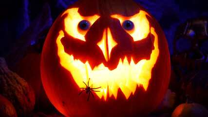 Halloween pumpkin Jack o lantern highlighted. Halloween pumpkins on spooky background, misty fog. October holidays concept. Perfect carved pumpkin and fall spooky decoration.