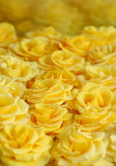 Many yellow roses are a top view. 