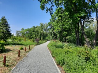 path in the park